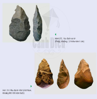 Lịch sử 6 bài 3: Nguồn gốc loài người