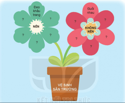 Tự nhiên xã hội lớp 2 Kết nối tri thức