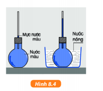 Giải KHTN lớp 6 bài 8