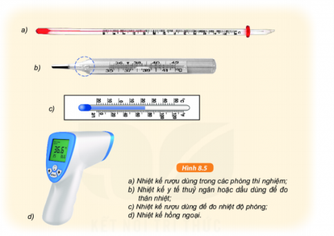 Giải KHTN lớp 6 bài 8