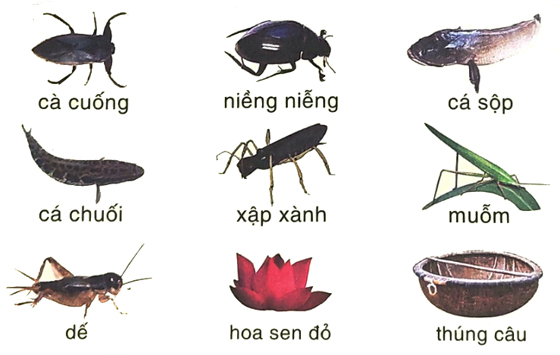 Đọc sách báo viết về bố mẹ