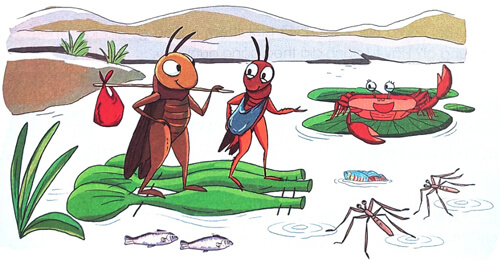 Ôn tập cuối học kì 1 - Tiết 3, 4