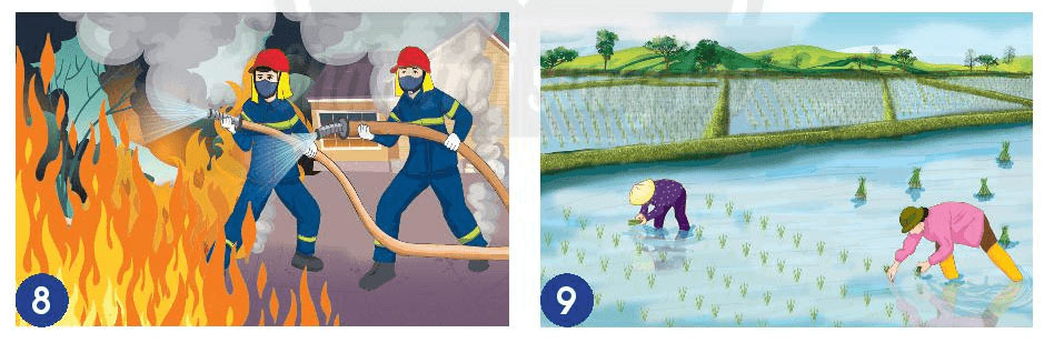 Tự nhiên xã hội lớp 2