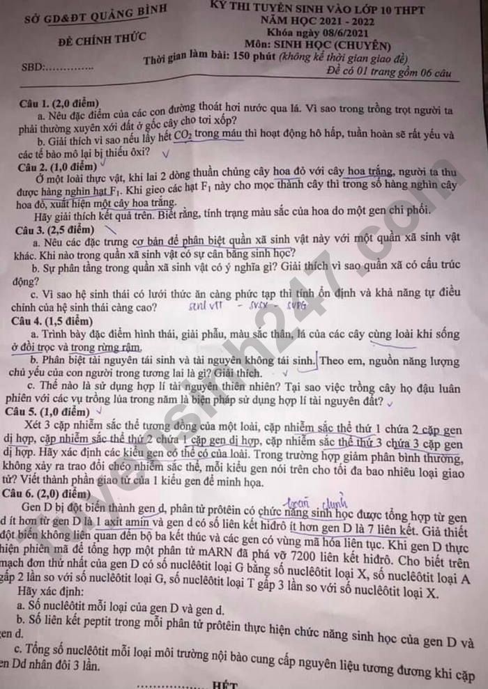 Đề thi tuyển sinh lớp 10 môn Sinh Chuyên Quảng Bình năm 2021