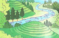 Ôn tập và đánh giá cuối học kì 1 - Tiết 7, 8