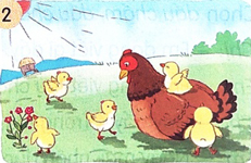 Ôn tập và đánh giá cuối học kì 1 - Tiết 7, 8