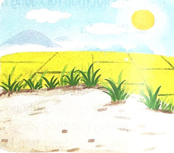 Tiếng Việt lớp 2 Kết nối tri thức trang 141, 142 Đánh giá cuối học kì 1 - Đề tham khảo