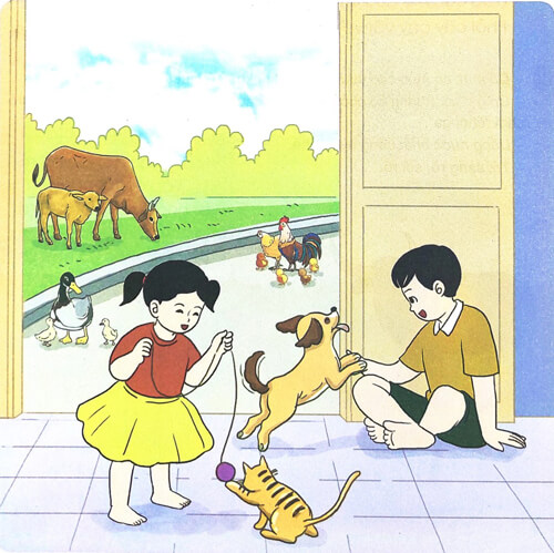 Con trâu đen lông mượt