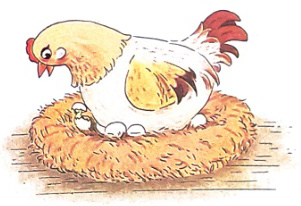 Đàn gà mới nở