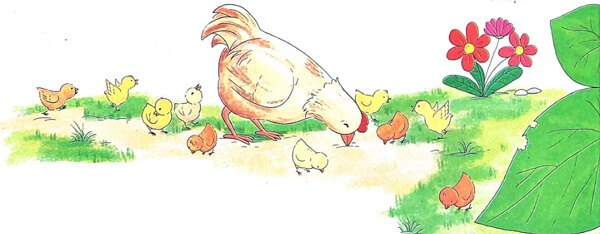 Giải Đàn gà mới nở trang 3, 4, 5 sách Cánh Diều