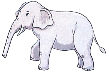 Nghe - viết: Mèo con