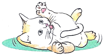 Nghe - viết: Mèo con