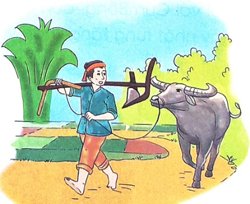 Nghe - viết: Trâu ơi