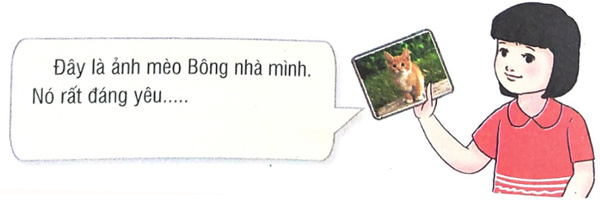 Quan sát tranh ảnh vật nuôi