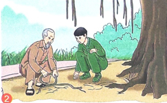 Kể chuyện đã học Chiếc rễ đa tròn