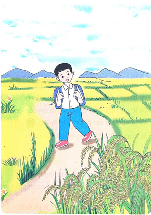 Chia sẻ và đọc: Mùa lúa chín