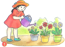 Viết về hoạt động chăm sóc cây xanh