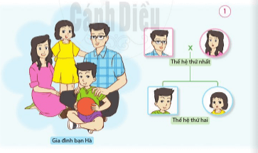 Tự nhiên xã hội lớp 2 bài 1 Các thế hệ trong gia đình Cánh Diều