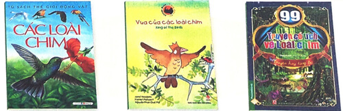 Đọc sách báo viết về các loài chim