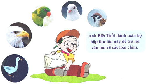 Đọc sách báo viết về các loài chim