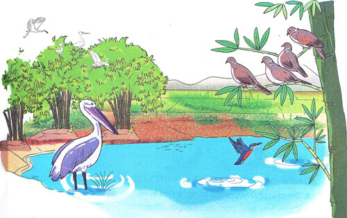 Giải Bờ tre đón khách trang 46, 47, 48 sách Cánh Diều