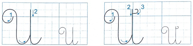 Nghe - viết: Chim rừng Tây Nguyên