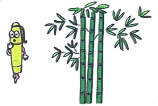 Nghe - viết: Chim rừng Tây Nguyên