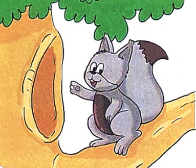 Nghe - viết: Con sóc