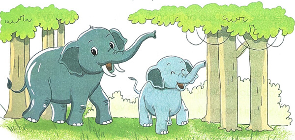 Ôn tập giữa học kì 2 - Tiết 3, 4