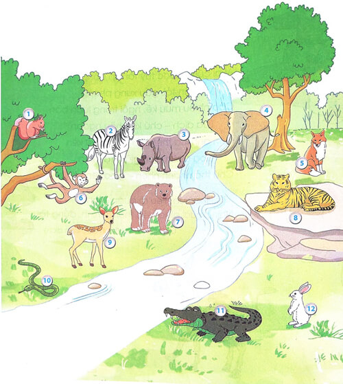 Giải Sư tử xuất quân trang 55, 56, 57, 58 sách Cánh Diều