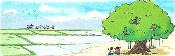 Ôn tập giữa học kì 2 - Tiết 5, 6