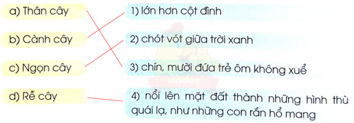 Ôn tập giữa học kì 2 - Tiết 5, 6
