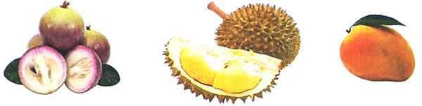 Nghe - viết: Con Rồng cháu Tiên