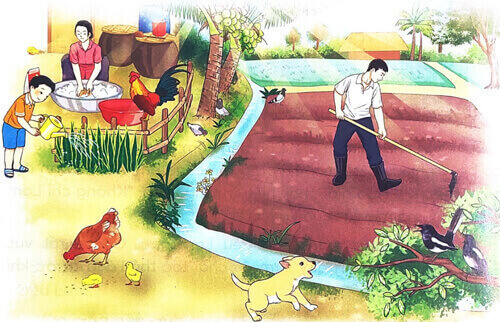 Tóc xoăn và tóc thẳng