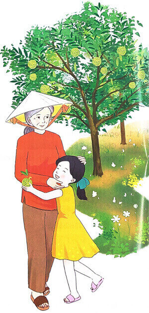 Bài 3: Bà nội, bà ngoại