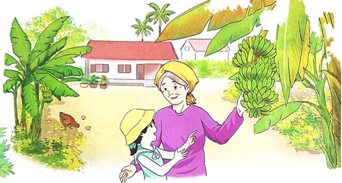 Bài 3: Bà nội, bà ngoại