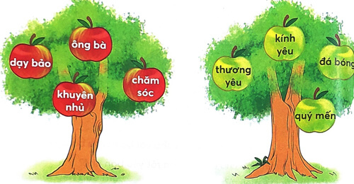 Bài 3: Bà nội, bà ngoại