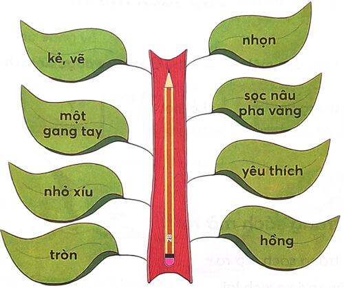 Thời khóa biểu