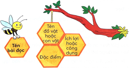 Bài 4: Cái bàn học của tôi 