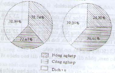 Dựa vào bảng 22.1, hãy vẽ biểu đồ cơ cấu tổng sản phẩm trong nước của hai năm 1990 và 2000 và rút ra nhận xét