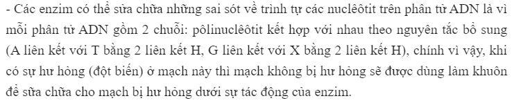 Đặc điểm nào về cấu trúc của ADN giúp nó có thể sửa chữa những sai sót