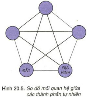 Hãy vẽ lại sơ đồ hình 20.5 (SGK trang 73)