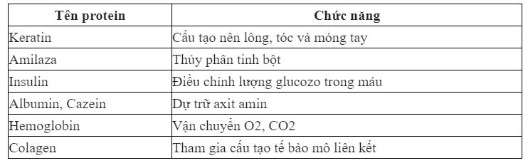 Nêu một vài loại prôtêin trong tế bào người và cho biết các chức năng của chúng