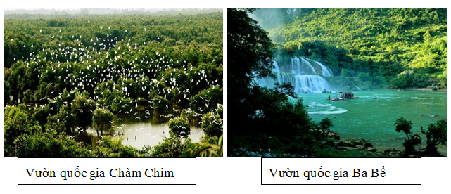 Sưu tầm tranh ảnh về các VQG Việt Nam