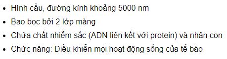 Mô tả cấu trúc của nhân tế bào