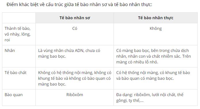 Nêu các điểm khác biệt về cấu trúc giữa tế bào nhân sơ và nhân thực