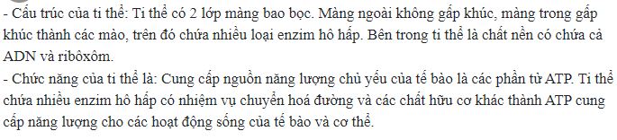 Nêu cấu trúc và chức năng của ti thể