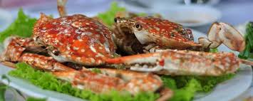 Sưu tầm tranh ảnh về hải sản và cảnh đẹp của biển Việt Nam