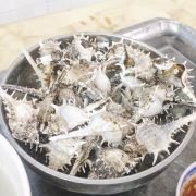 Sưu tầm tranh ảnh về hải sản và cảnh đẹp của biển Việt Nam