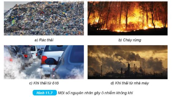 KHTN 6 bài 11 Kết nối tri thức